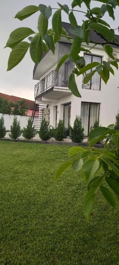 Accent Garden Διαμέρισμα Ντέβα Εξωτερικό φωτογραφία